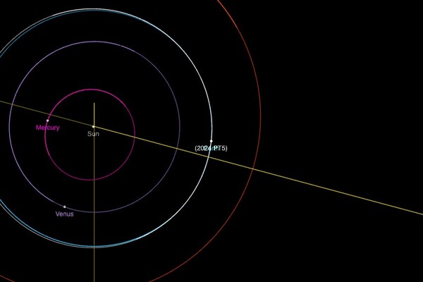 Visualization of 2024PT5's orbit around the sun temporarily joining Earth's.