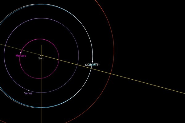 Visualization of 2024PT5's orbit around the sun temporarily joining Earth's. 