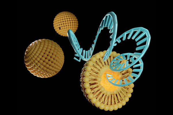 Rendering of Liposomes delivering cargo molecules such as mRNA.