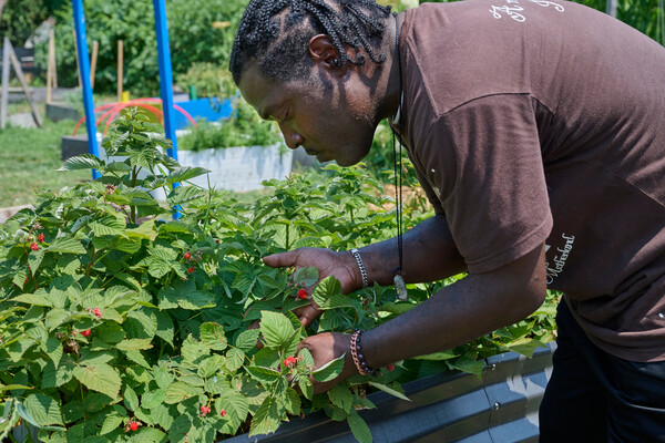 Jovian Patterson looks at some raspberry bushes growing in a community garden.