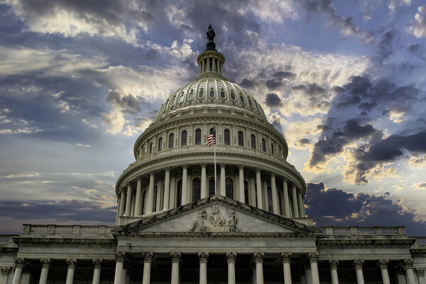 The U.S. Capitol.