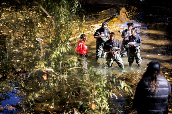 Penn students and Sayre high school students wading in a river in Cobbs Creek.