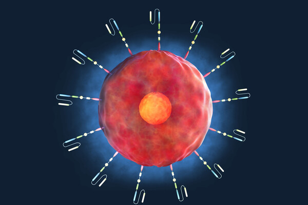 3-D rendering of chimeric antigen receptor T (CAR-T) cell therapy, a treatment for a variety of cancers