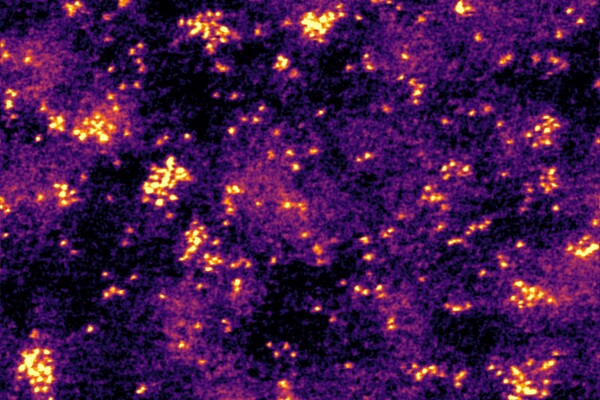 Bright spots represent individual catalyst molecules captured under cryogenic conditions to prevent clustering.