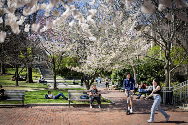 people on campus with flowering trees