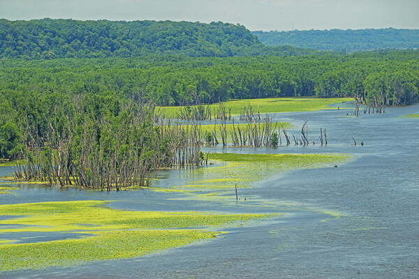 The Mississippi River.