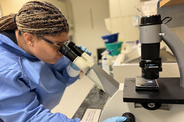 Kayla Gay looking into a microscope in a lab.