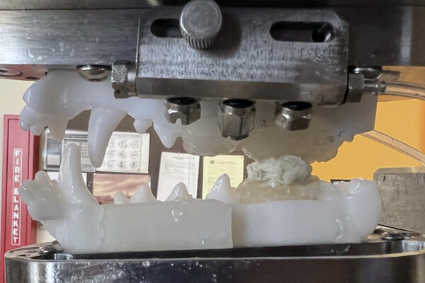 Machine with human jaw and teeth model used to simulate chewing.