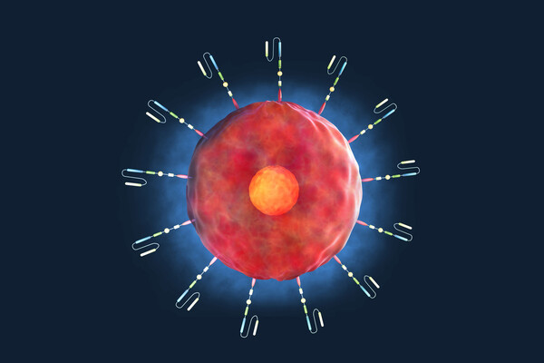 3-D rendering of chimeric antigen receptor T (CAR-T) cell therapy, a treatment for a variety of cancers