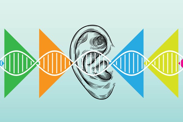 Soundwaves superimposed over an ear.