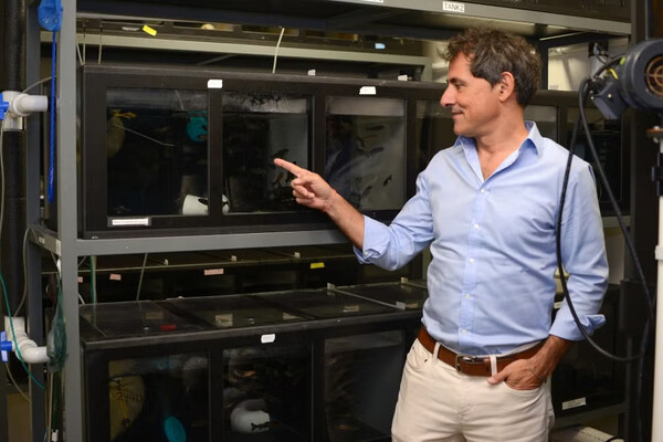 Oriol Sunyer pointing to rainbow trout, the fish species used for the reported study.