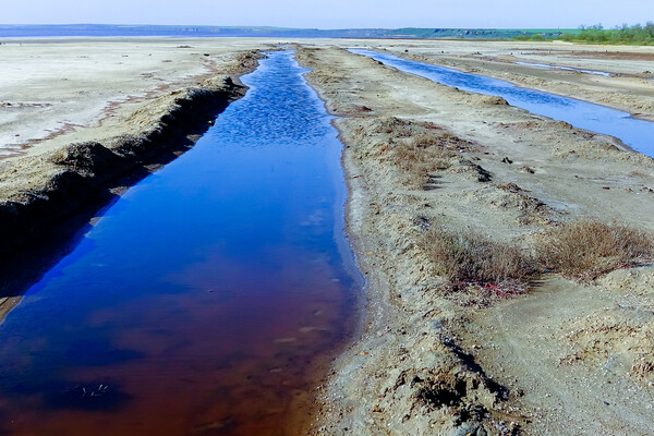 Green, diatom and blue-green algae in the blooming water of a coastal salt puddle on the shore