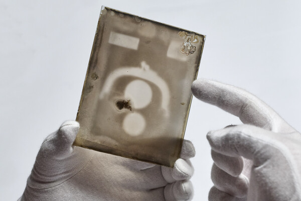 An X-ray plate from 1896.