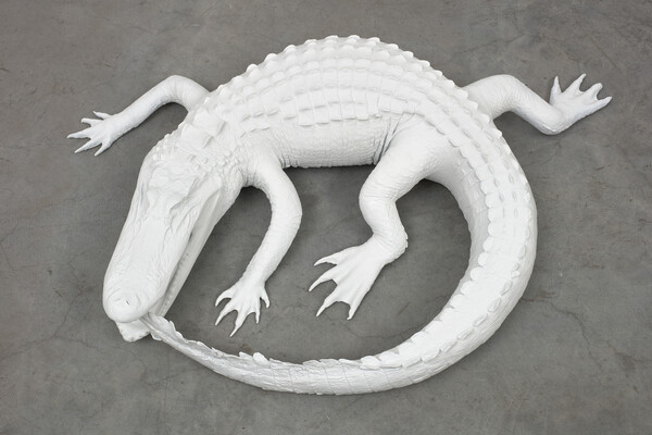 A sculpture of a crocodile eatings its tail made in filament and resin.