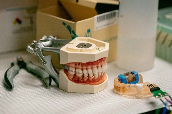 A model of teeth used for dental practice.