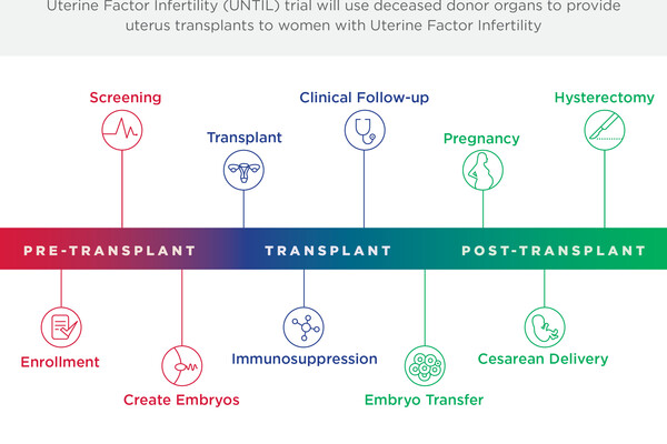 Uterine Transplant
