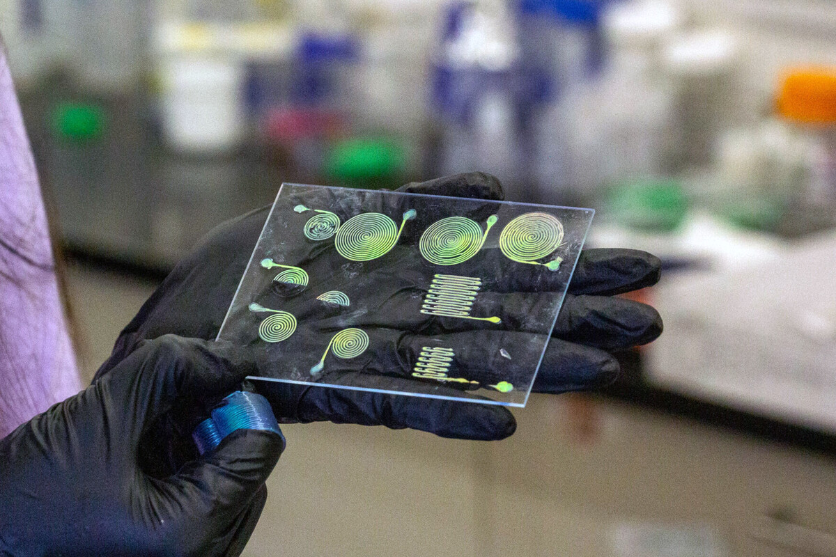 A Penn engineering student holds up an array of different structures made with a new, 3D-printed material