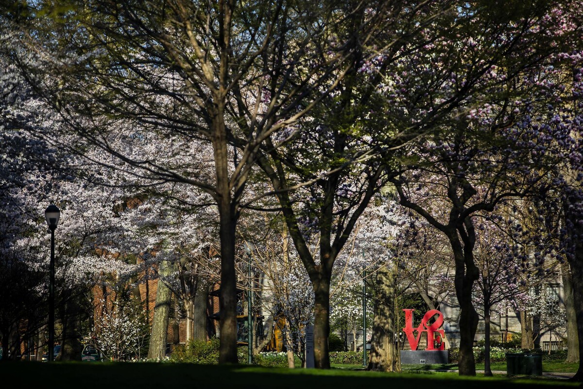 Canopy of trees in early spring that surround the LOVE sculpture.