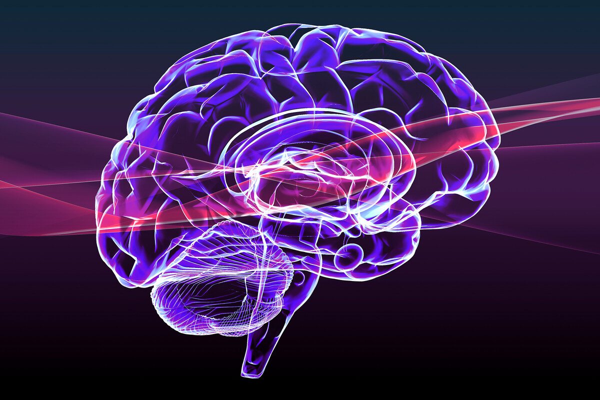 The human brain as though it is being scanned.