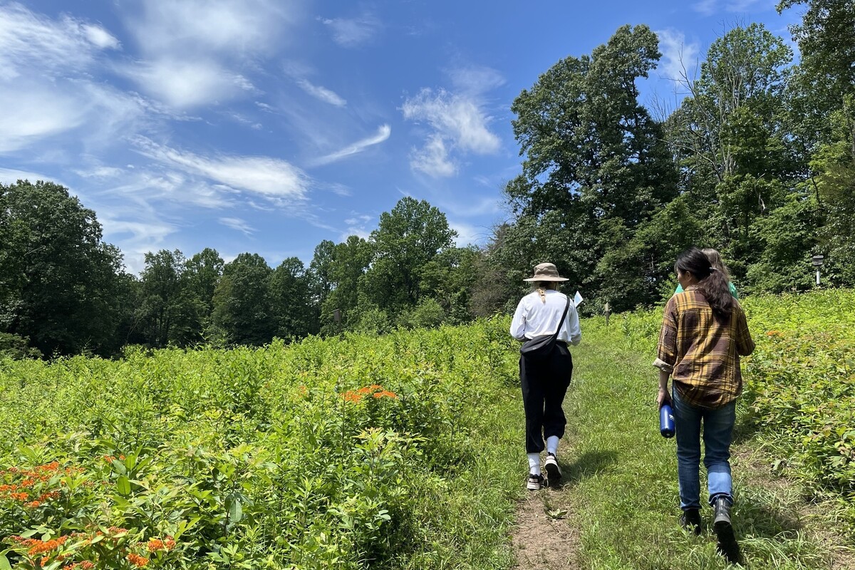 Three people walking through a field.