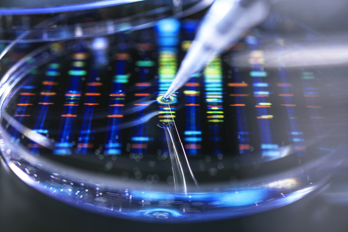 Pipette adding a sample to a petri dish with a DNA profile in the background.