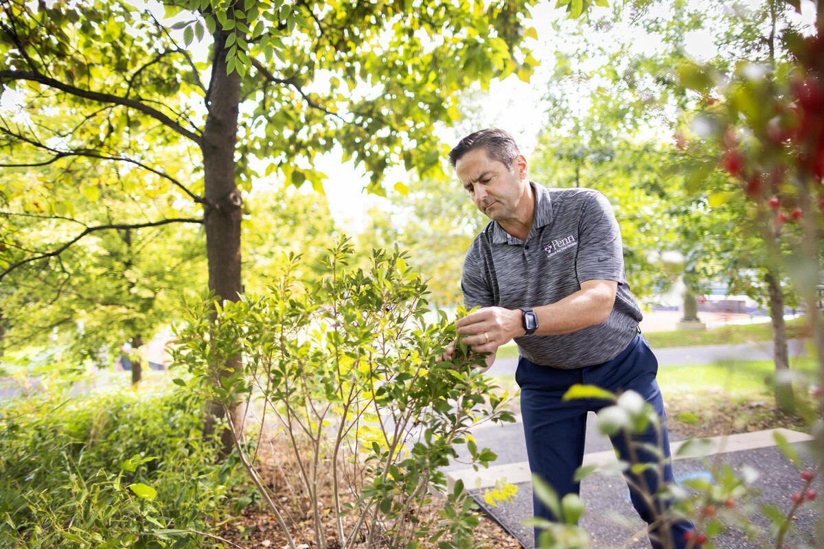 Craig Roncace, Penn’s urban park manager, gardening and caring for plants in an outdoor park setting on campus.