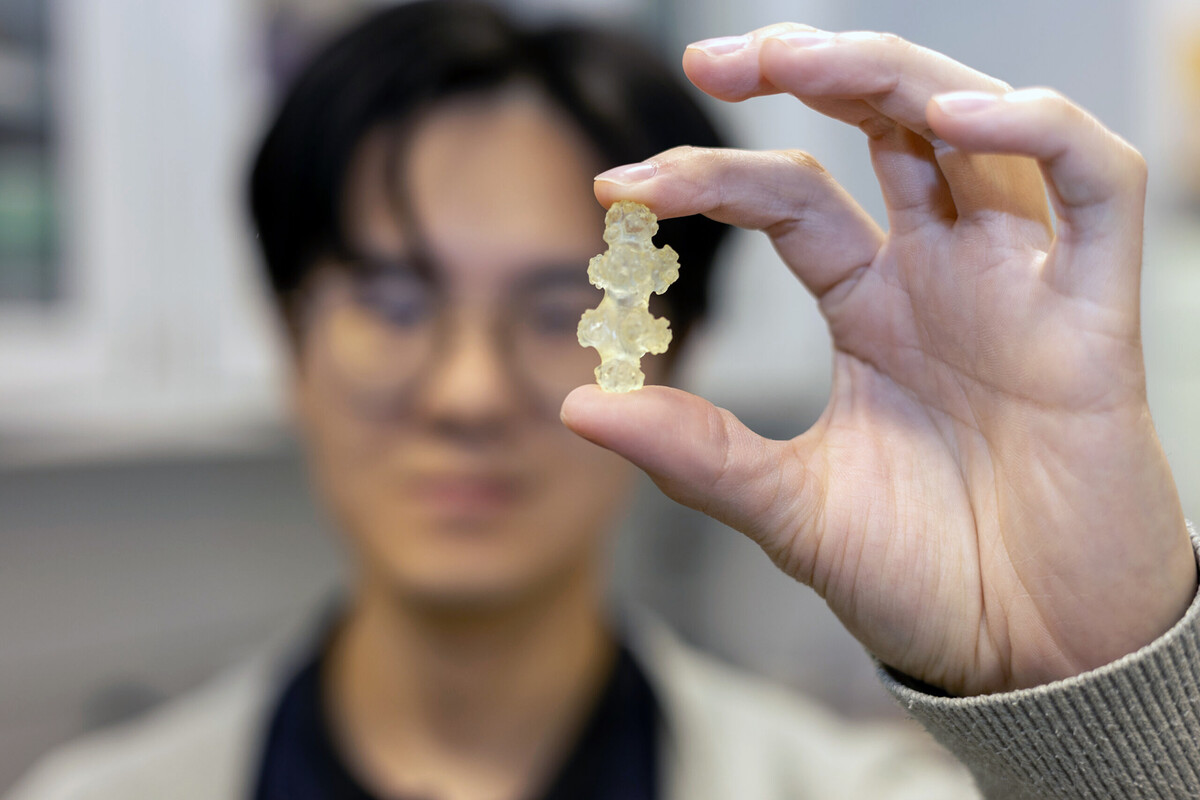 Chenhao Hu holds up a 3D-printed model of a sclerite.